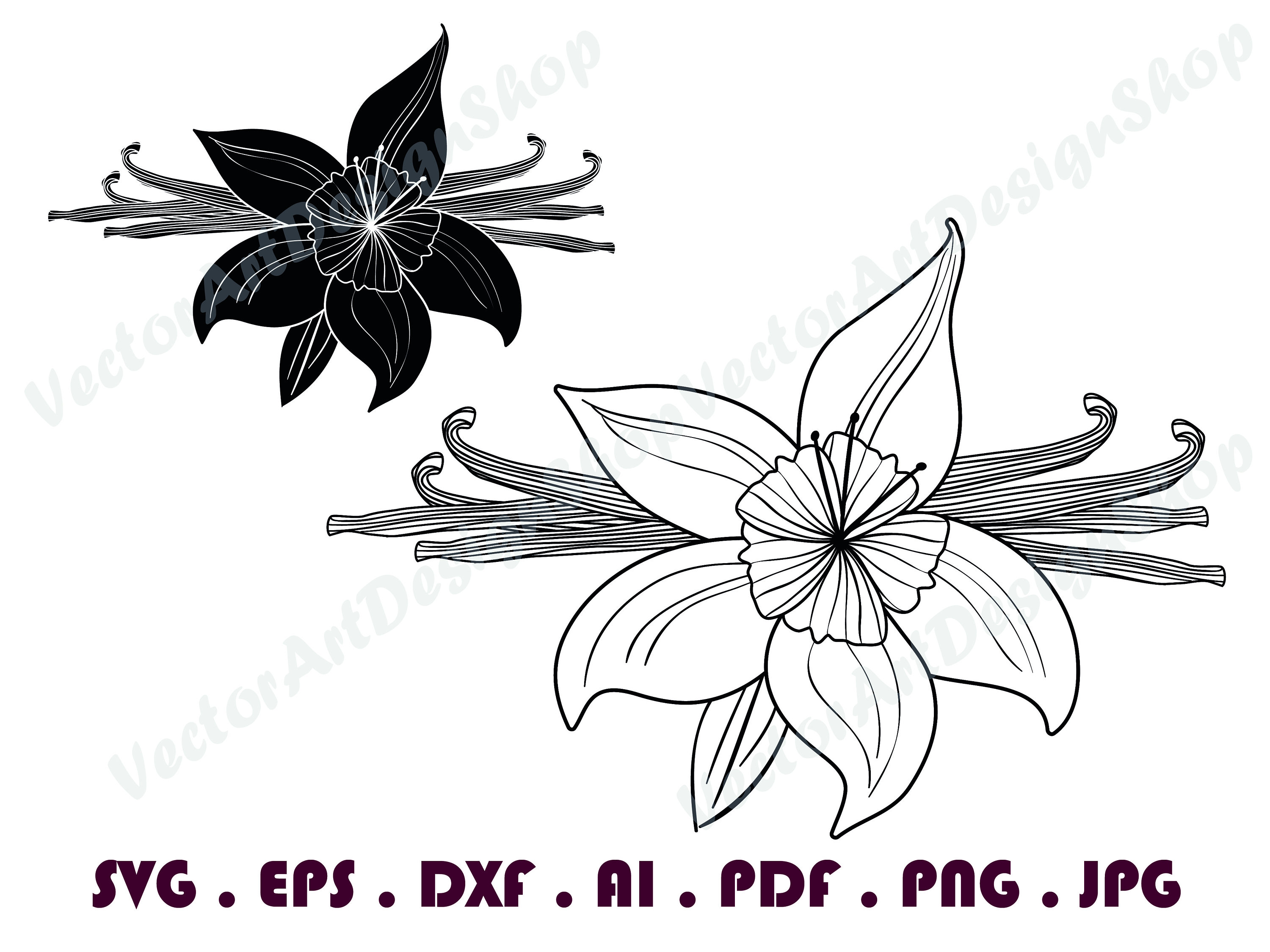 graphical png ai eps svg jpg,Download files set Vector VANILLA SPICE SVG,Art Print dxf hand drawn