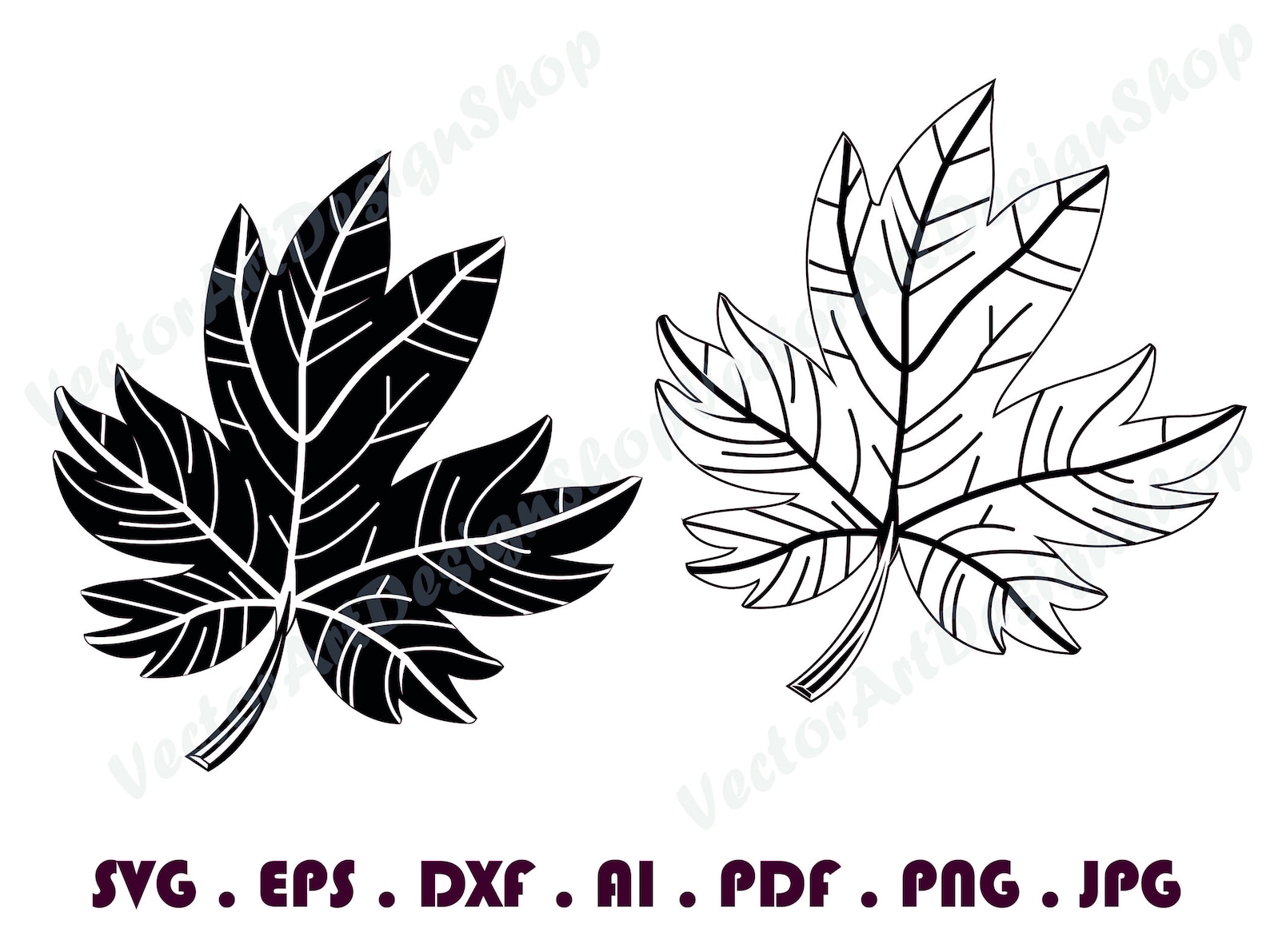 Maple Leaf 1 Outline SVG Maple Leaf Svg Autumn Svg Maple | Etsy
