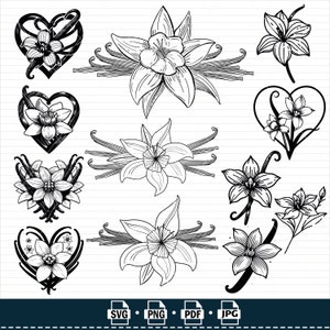 Puede incluir: Un conjunto de 12 ilustraciones en blanco y negro de flores y vainas de vainilla. Las ilustraciones son de varios estilos, incluyendo corazones, flores individuales y flores con vainas. Las ilustraciones son perfectas para manualidades, scrapbooking o diseño digital.
