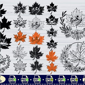 Ahornblatt SVG, #1, Blatt SVG, Ahorn Blatt Clipart, Ahornblatt Dateien für Cricut, Blatt geschnitten Dateien für Silhouette, Dxf, Png, Vektor