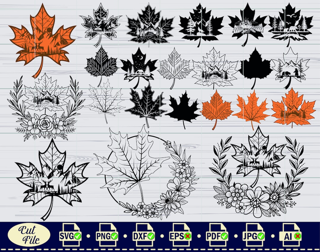 Maple Leaf Outline SVG ,#2, Maple Leaf Svg, Autumn Svg, Maple Leaf ...