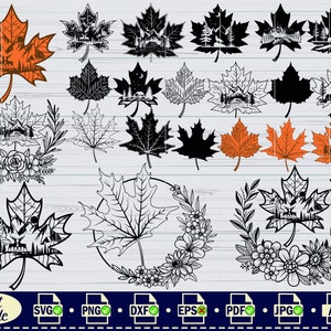 Ahornblatt Umriss SVG, # 2, Ahornblatt SVG, Ahornblatt Clipart, Ahornblatt Dateien für Cricut, Schnittdateien für Silhouette, Dxf, Png