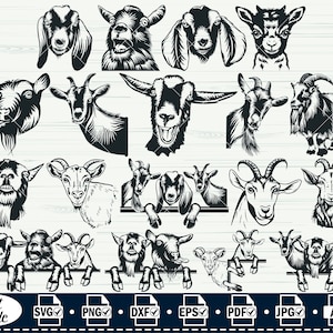 Svg de chèvre, # 3, fichiers svg de chèvre pour Cricut, clipart drôle de visage d'animal de ferme, téléchargement, tête furtivement, vecteur dxf découpé au laser, chemise à usage commercial