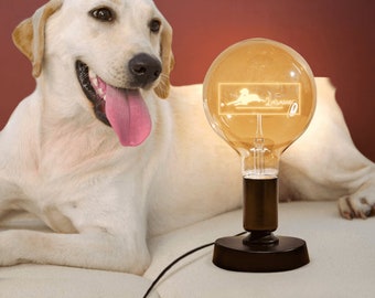 Personalized Edison Lamp, Pet Memorial Light Bulbs, Pet Memorial Gifts