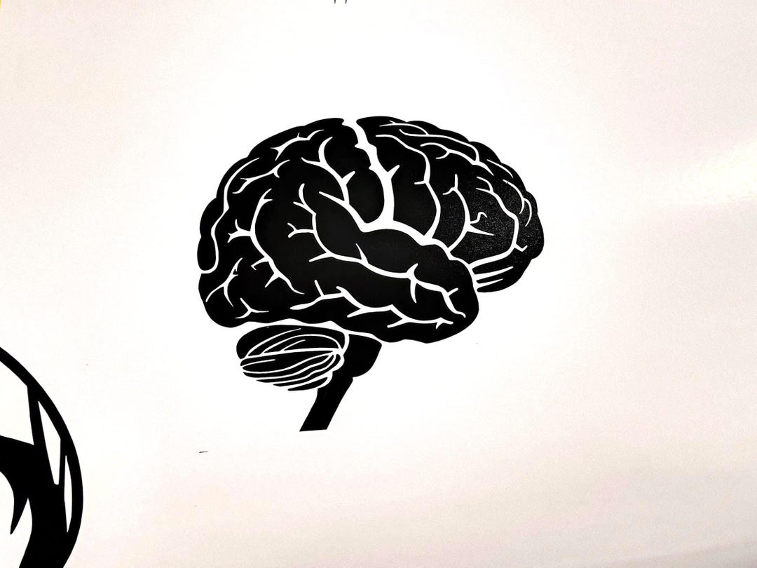 Brain Vinyl Decal: Waterproof Science Sticker for Laptops - Etsy