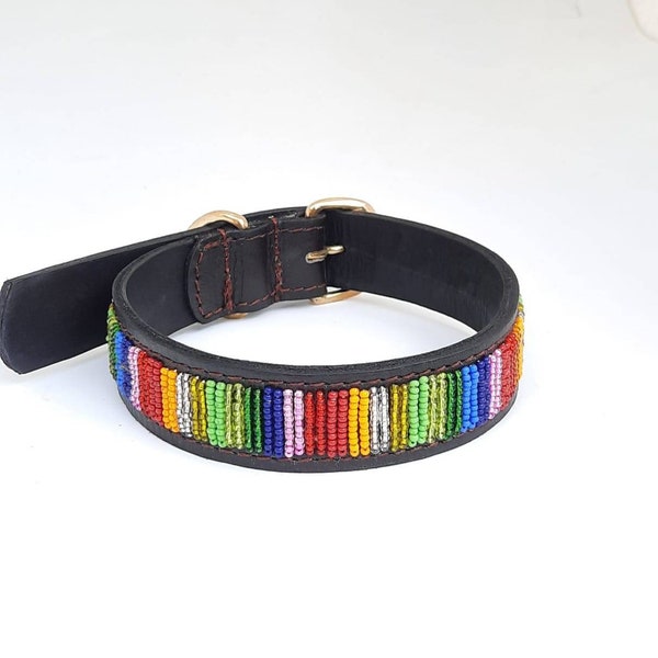 Maasai beaded  leather dog collar, leather dog Collar, Maasai dog Collar, Handmade dog Collar,hulsband.