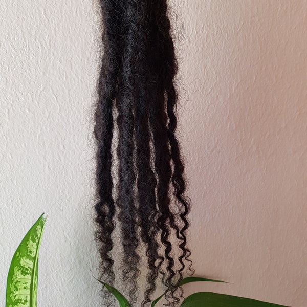 Human Hair Loc Curly Ends Etsy