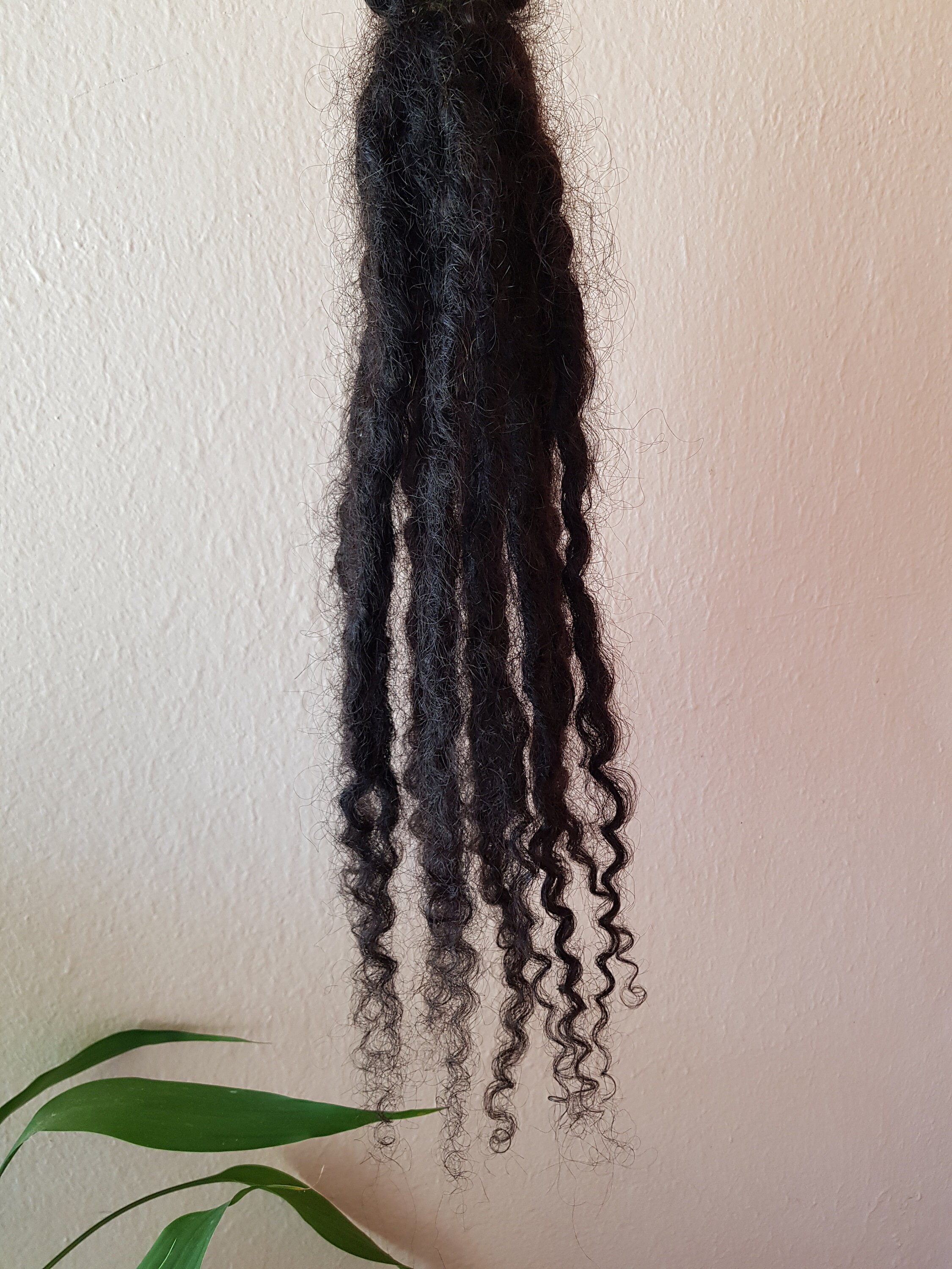 Loc Extensions With Curly Ends Lisa Loc Extension Etsy