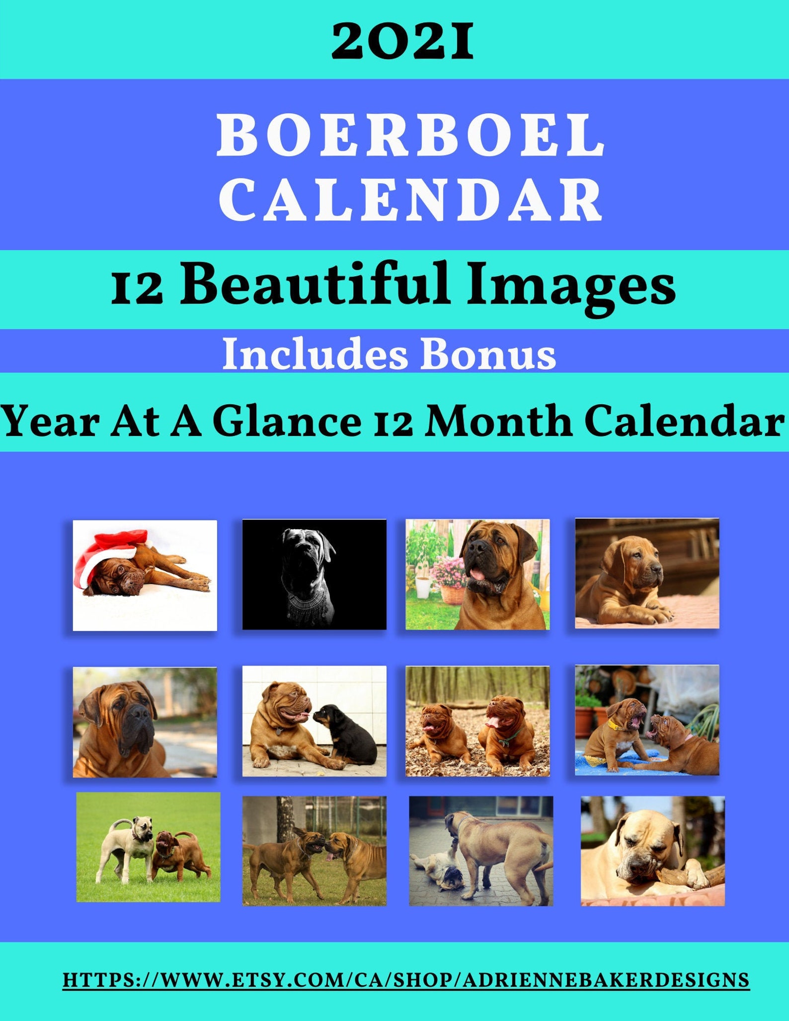 2021 Boerboel calendar Mastiff art 1 page calendar 12 mth | Etsy