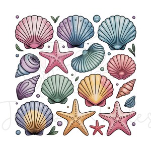 Seashell Clam Summer png, Beach Vibes png, Summer png, summer beach png, seashells png, boho sea design, summer vibes png, Sea Clipart