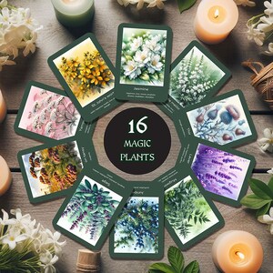 16 cartas de plantas mágicas encantadas - Herramientas de lanzamiento de hechizos brujos