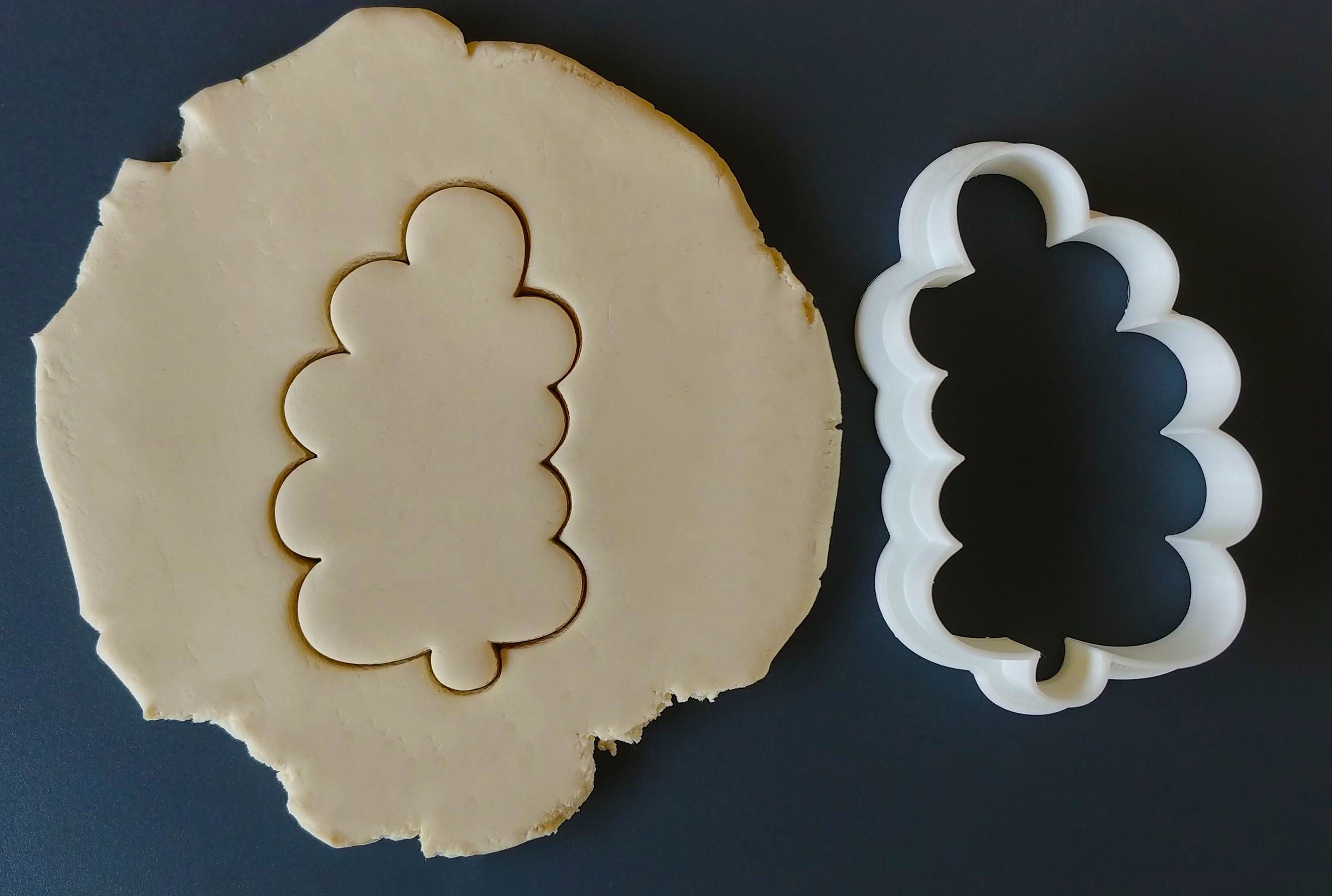 Eucalyptus Cookie Cutter Stamp Etsy