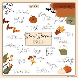 Könnte beinhalten: Ein Set bunter Herbst-Sticker mit Illustrationen von Kürbissen, Blättern, Pilzen und einer Teekanne. Die Sticker zeigen Texte wie "Story Stickers Fall", "Cozy Moments", "Pumpkin Spice Love", "Happy Fall Days" und "Hello Fall".