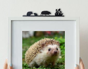 Hedgehog Family - Made in Scotland