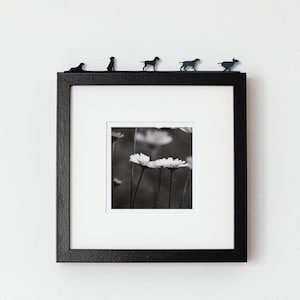 May include: A black and white photograph of daisies in a field is framed in a black frame. Five small black metal dog silhouettes are attached to the top of the frame.