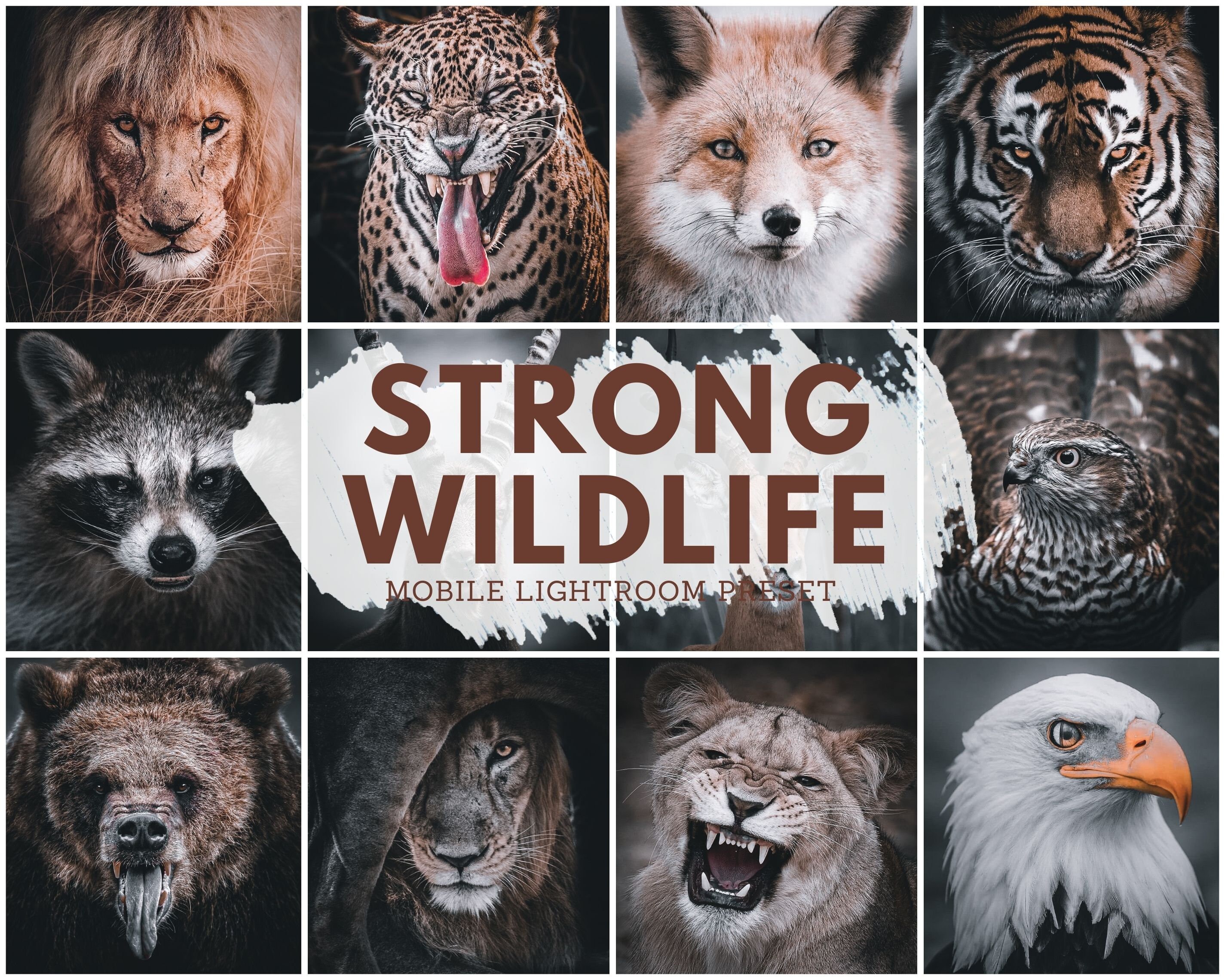 5 STRONG WILDLIFE Lightroom Presets Wild Animal Planet Nature | Etsy