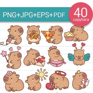 Capybara PNG EPS JPG Kawaii dierenillustratieset\ Anime cartoon digitale stickers sublimatie capybara pdf