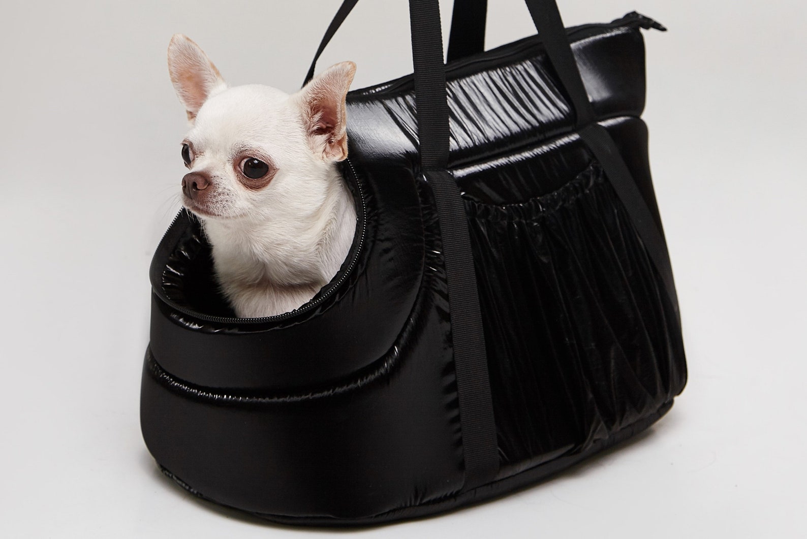 Small Dog Carrier Chihuahua Travel Bag Portable Shoulder Cat Etsy