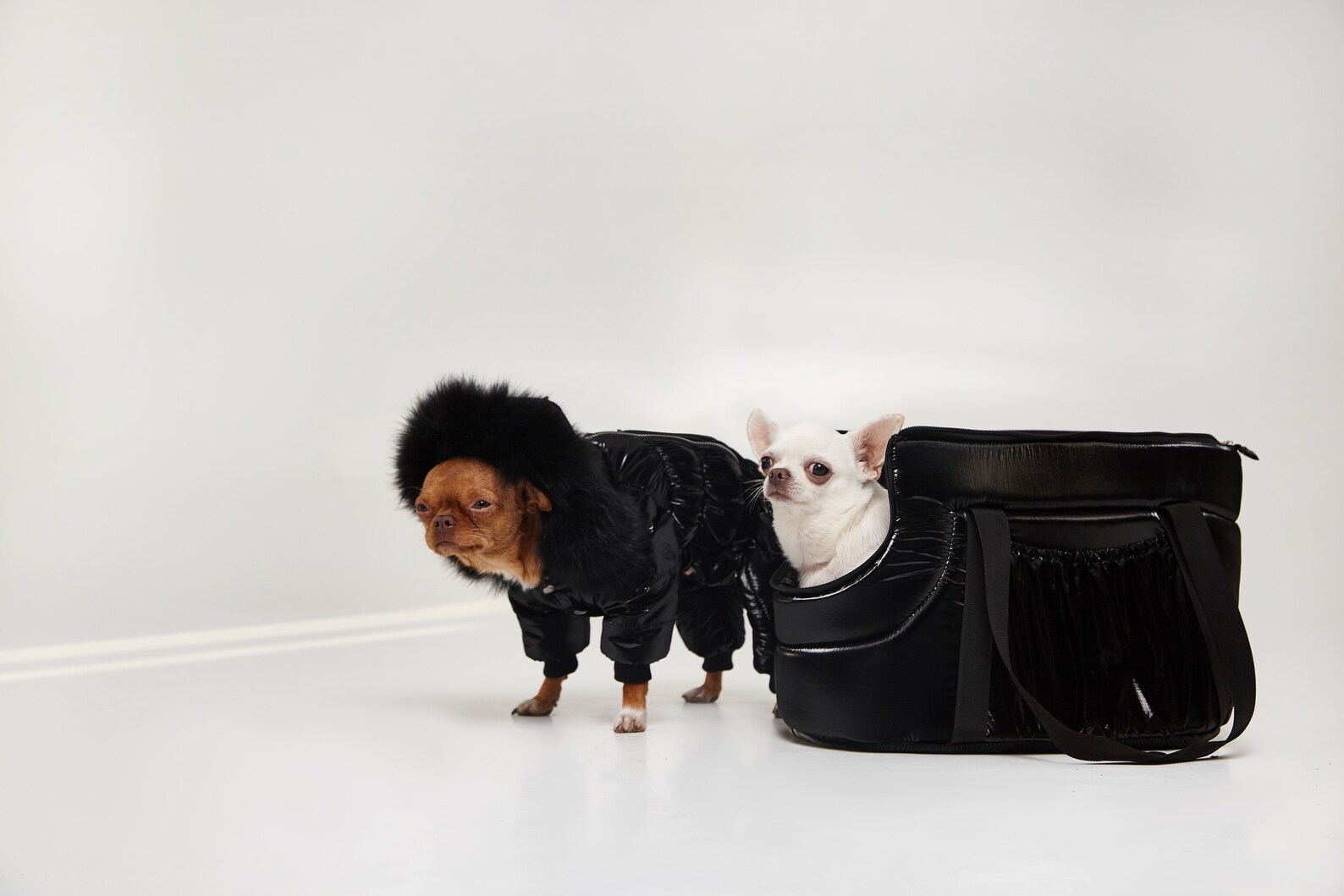 Small Dog Carrier Chihuahua Travel Bag Portable Shoulder Cat Etsy