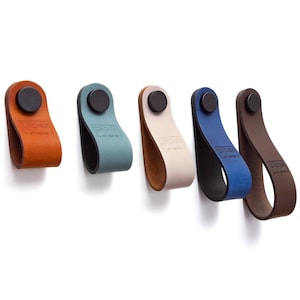 Può includere: Cinque maniglie per cassetti in pelle di diversi colori: marrone, blu, azzurro, bianco e blu scuro. Ogni maniglia ha un pomello in metallo nero e il testo "F-R-E-E" è in rilievo sulla pelle.