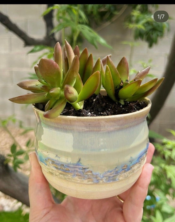 Tidal Wave Planter