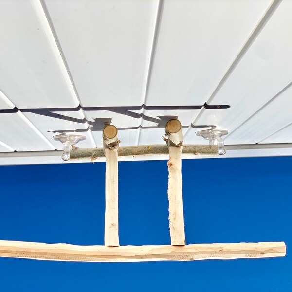 Suction Cup Perch Etsy