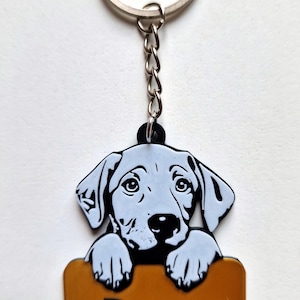 Puede incluir: Llavero con un diseño de perro azul claro y el nombre "Braco" en una etiqueta dorada. Tiene una cadena y un anillo plateados, con "CRUZ LUCK" en el anillo. También está presente el texto "DIGITAL DOWNLOAD FOR 3D PRINTING".