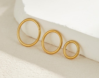 Brinco de argola articulada de titânio grau implante 16G/18G/20G, cartilagem dourada/concha/hélice, piercing Rook • piercing conch, tragus/septo