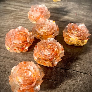 Our Lady of Invention Pocket Rose