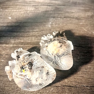 May include: Two clear resin anatomical heart sculptures with a detailed design. The hearts are filled with small black and brown particles.