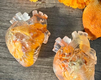 Our Lady of Invention Anatomical Heart