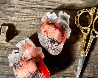 Our Lady of Sweetness Anatomical Heart