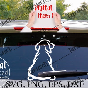 Window Squeegee Cleaning WiperTags attach to rear wiper blades