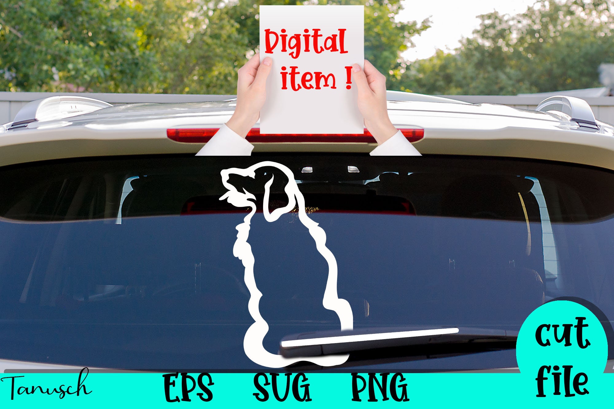 Windshield 2024 wiper decorations