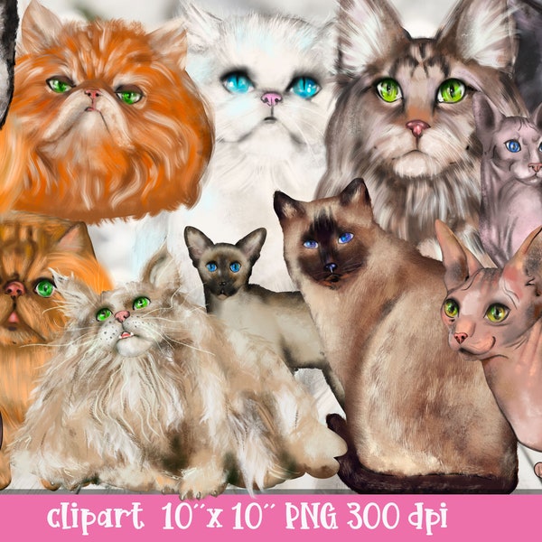 Watercolor Spynx CAT Clipart PNG naked cats Digital Download Commercial Use included