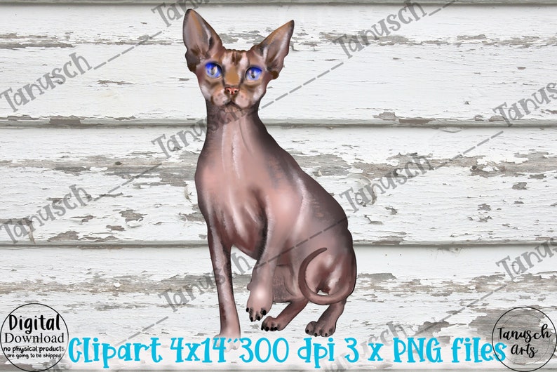 Watercolor Spynx CAT Clipart PNG Naked Cats Digital Download Etsy