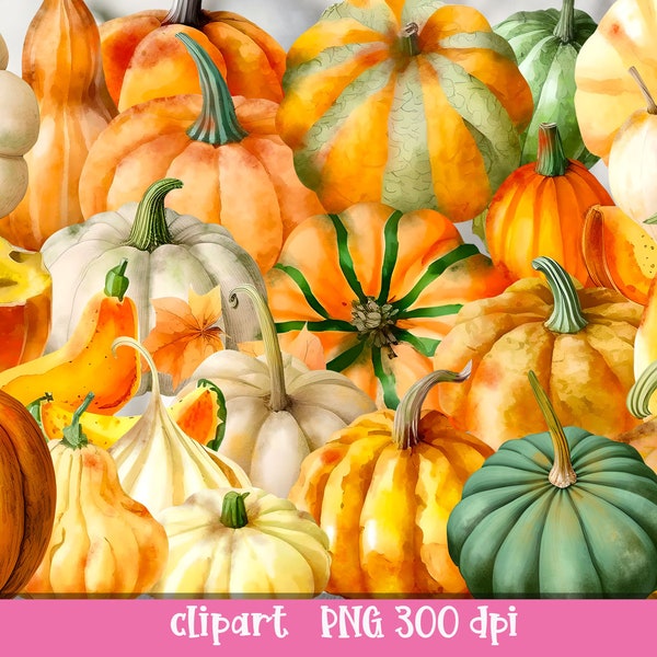 Festive Harvest Watercolor Pumpkin Clipart autumn vegetables Sublimation fall bundle Digital Download Commercial use included