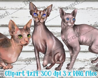 Naked Cat Download - Etsy