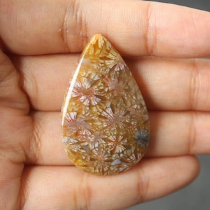 Fossil coral cabochon