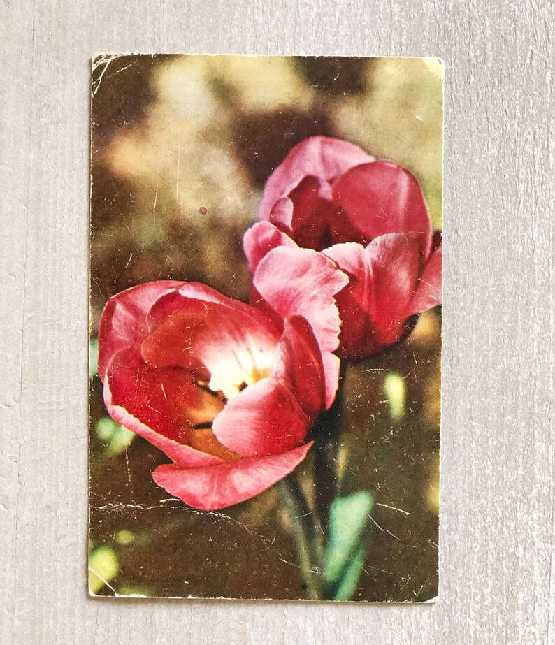 Vintage Soviet postcard,1974,Vintage card.