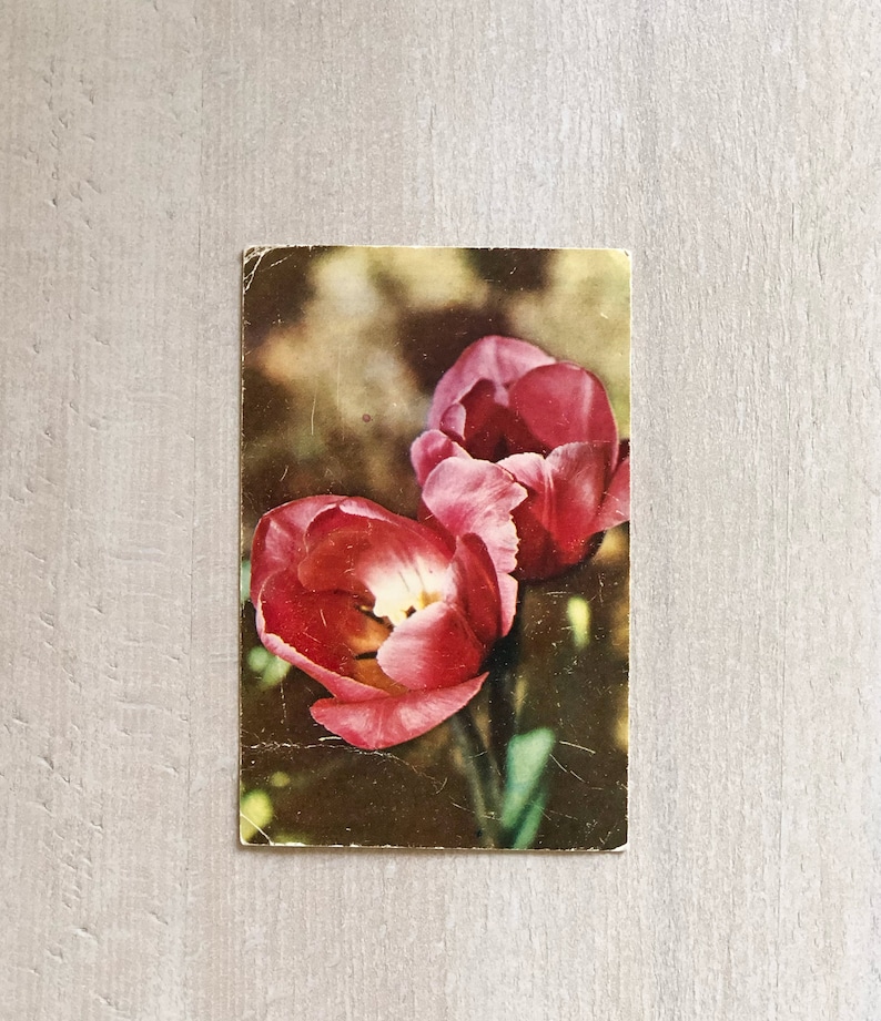 Vintage Soviet postcard,1974,Vintage card.