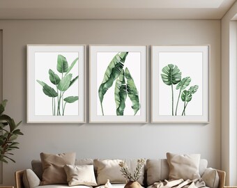 May include: Three framed botanical prints showcasing watercolour illustrations of green tropical leaves. The prints are displayed above a light-coloured sofa in a living room. The frames have a light wood finish.