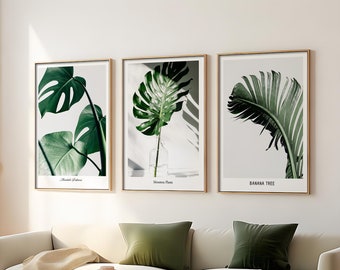 Monstera Plant Poster, Tropical Prints, Banana Leaf Wall Art, Plant Lover Gift, Botanical Art Decor, Modern Botanical Plant Art, Printable