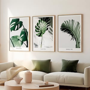 Monstera Plant Poster, Tropical Prints, Banana Leaf Wall Art, Plant Lover Gift, Botanical Art Decor, Modern Botanical Plant Art, Printable