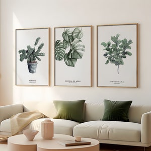 Watercolor Plant Print, House Plant Print, Monstera Plant Wall Art, Calathea Print, Greenery Home Decor, Minimalist Leaf Poster, Digital Art