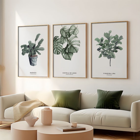 bella plant 4