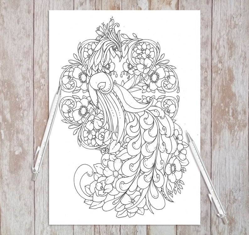 Feathers and Flowers - Printable Adult Coloring Pages (coloring Book ...