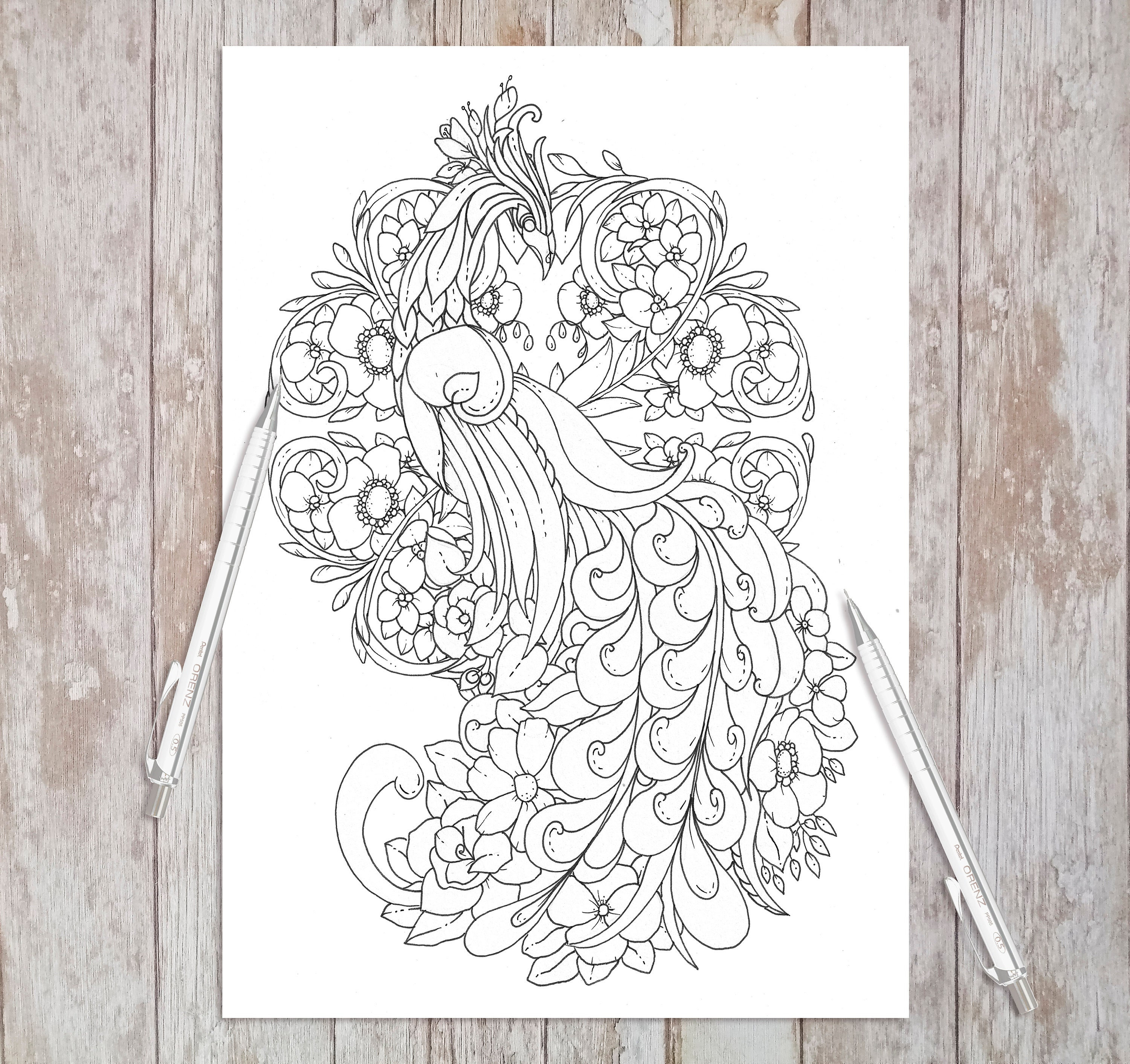 Feathers and Flowers - Printable Adult Coloring Pages (coloring Book ...