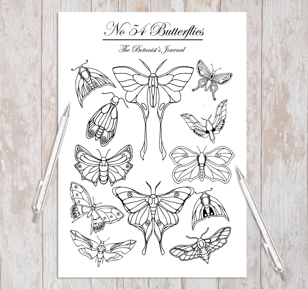 Printable Adult Coloring Page Butterfly Page Instant Download - Etsy