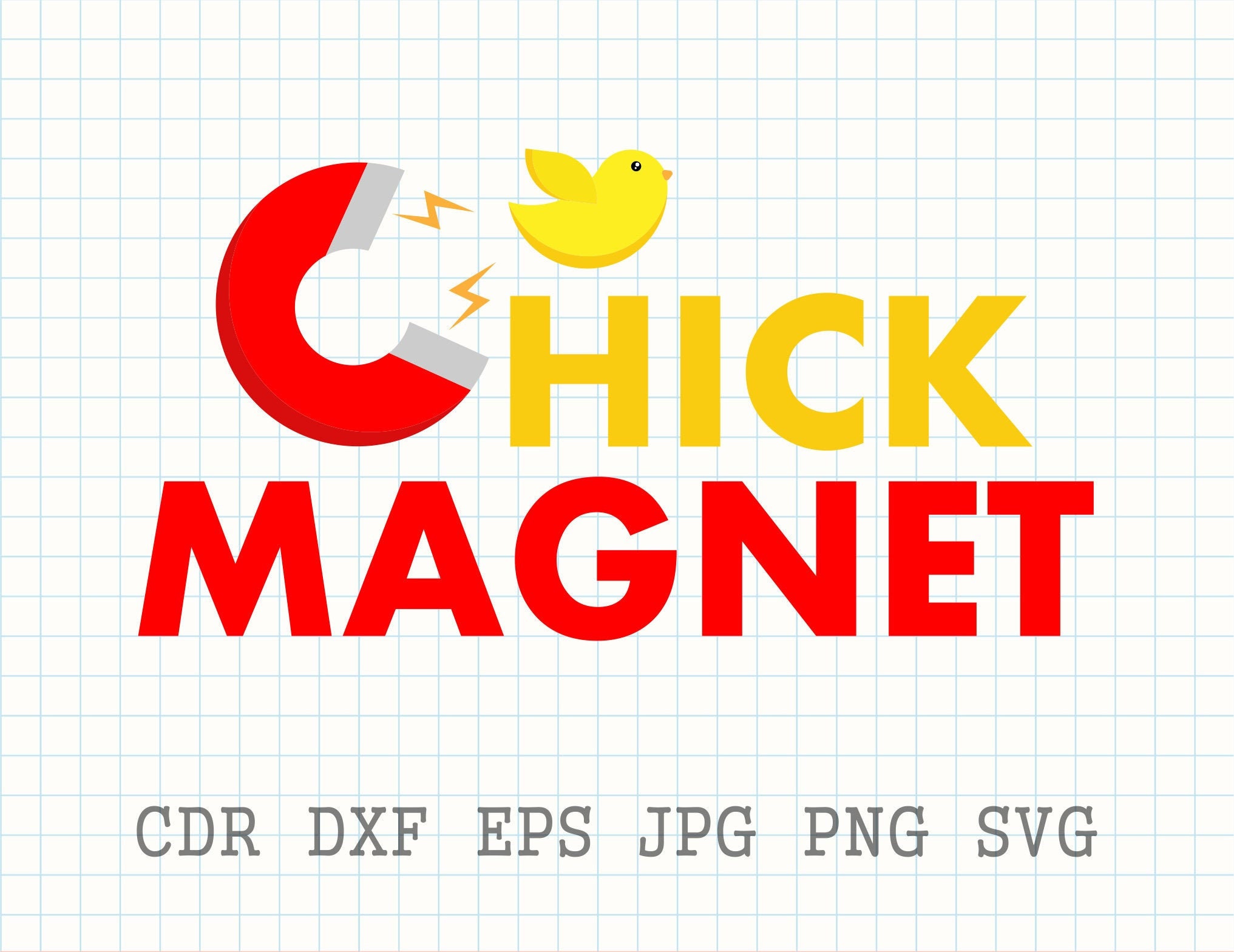 Chick Svg, Summer Shirt Svg, Funny Shirt Print, Cool Chick Png
